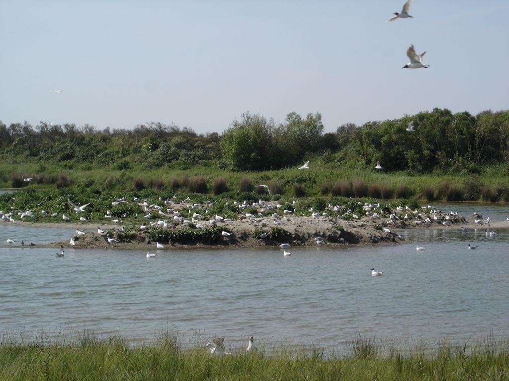 parc-du-marquenterre