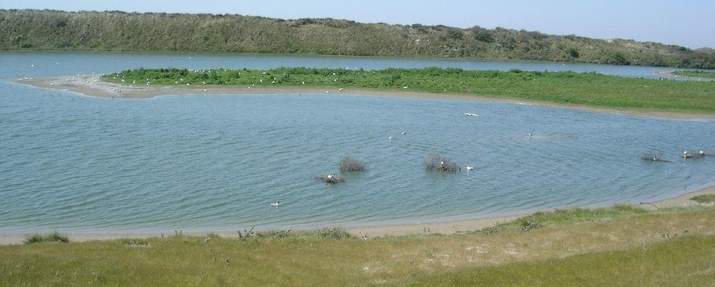 parcdumarquenterre