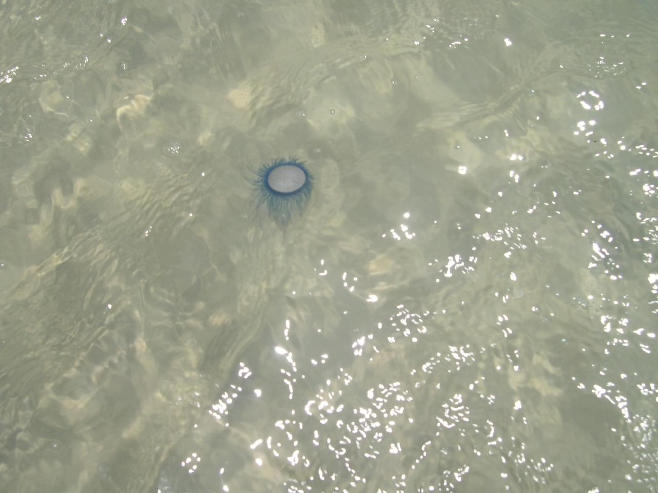 sihanoukville