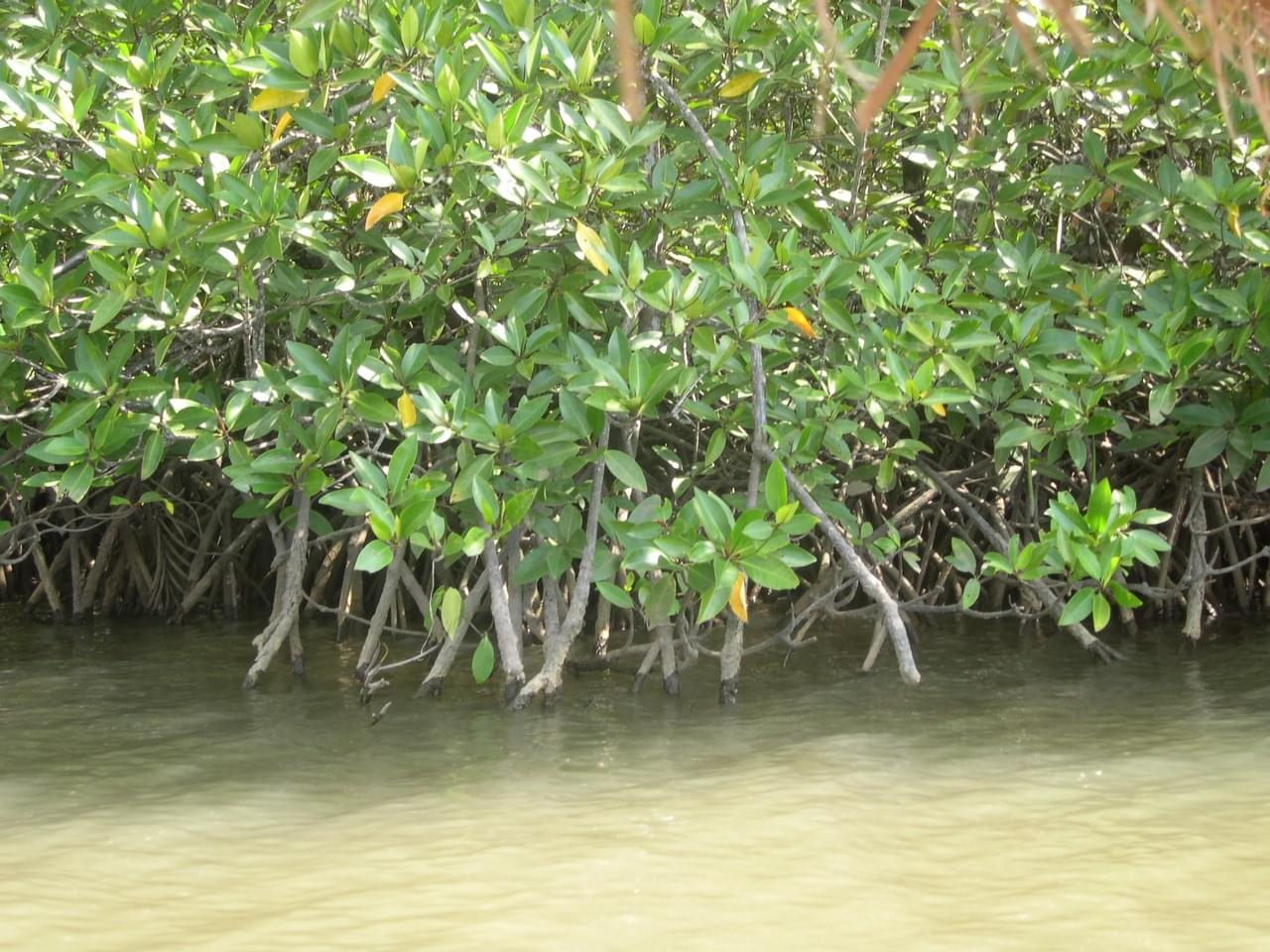 sihanoukville