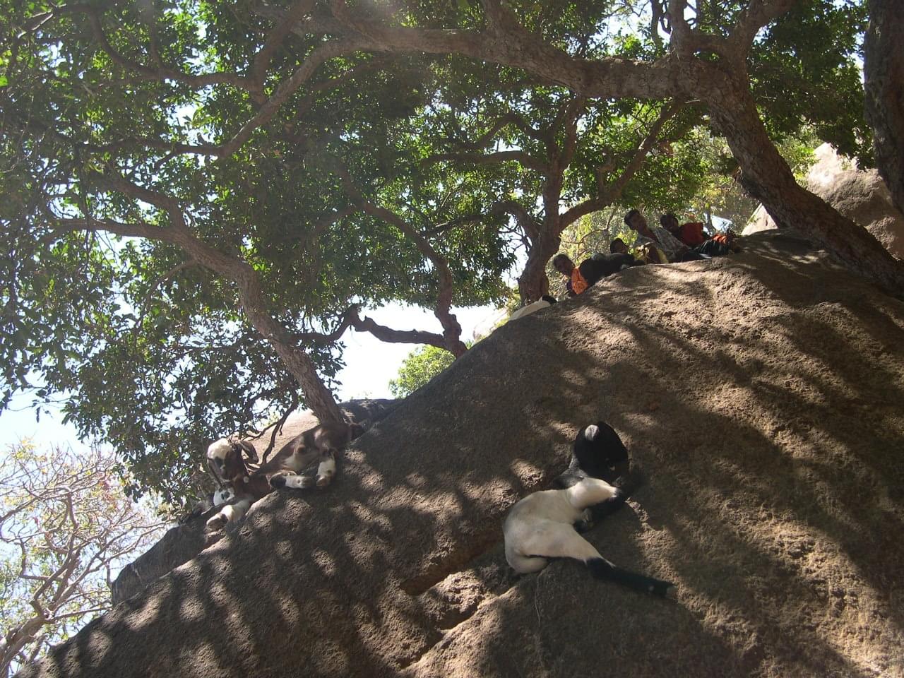 templesmonolithesdemahabalipuram