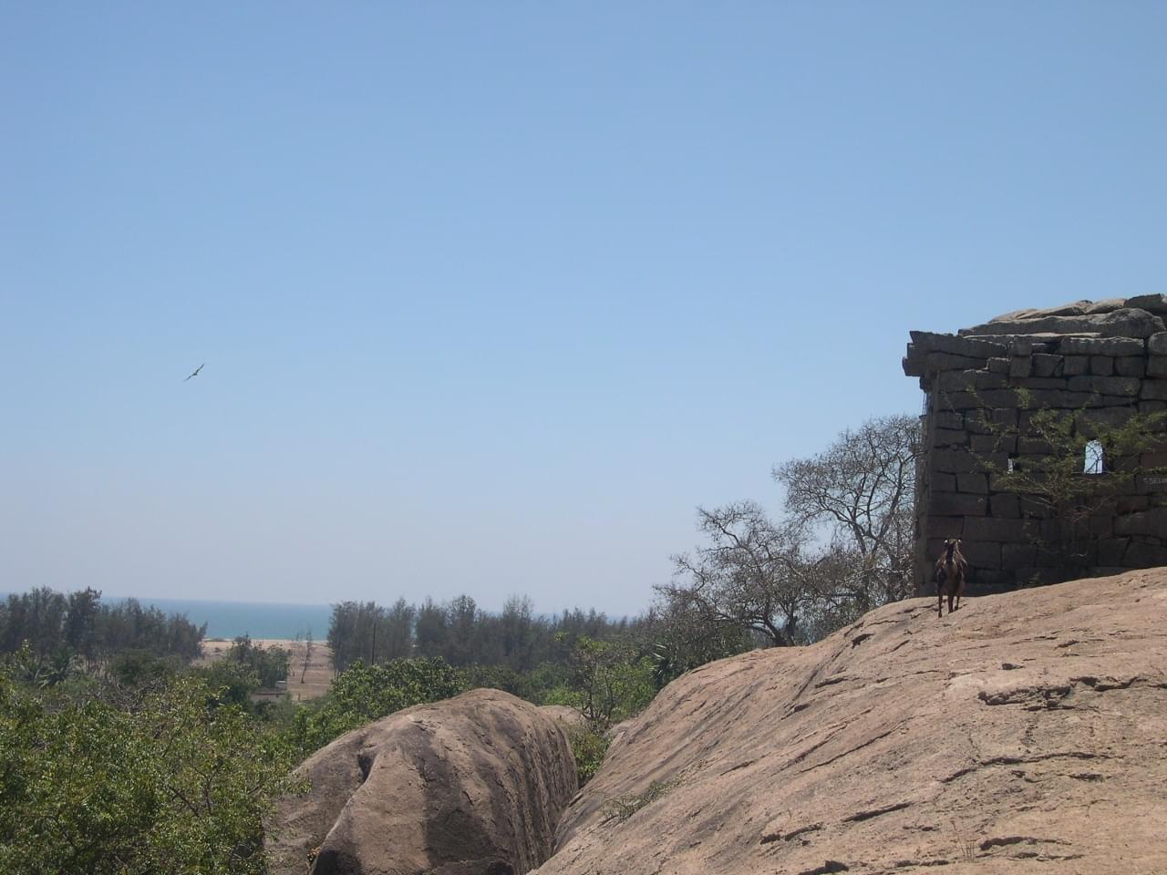 temples-monolithes-de-mahabalipuram