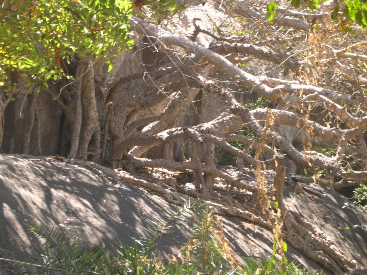 templesmonolithesdemahabalipuram