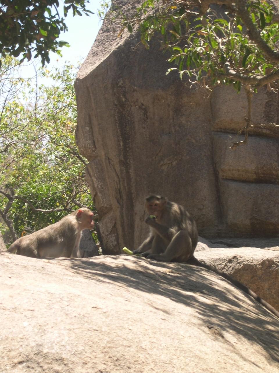 templesmonolithesdemahabalipuram