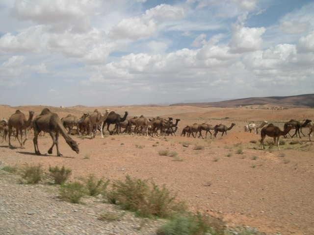 aitbenhaddou10