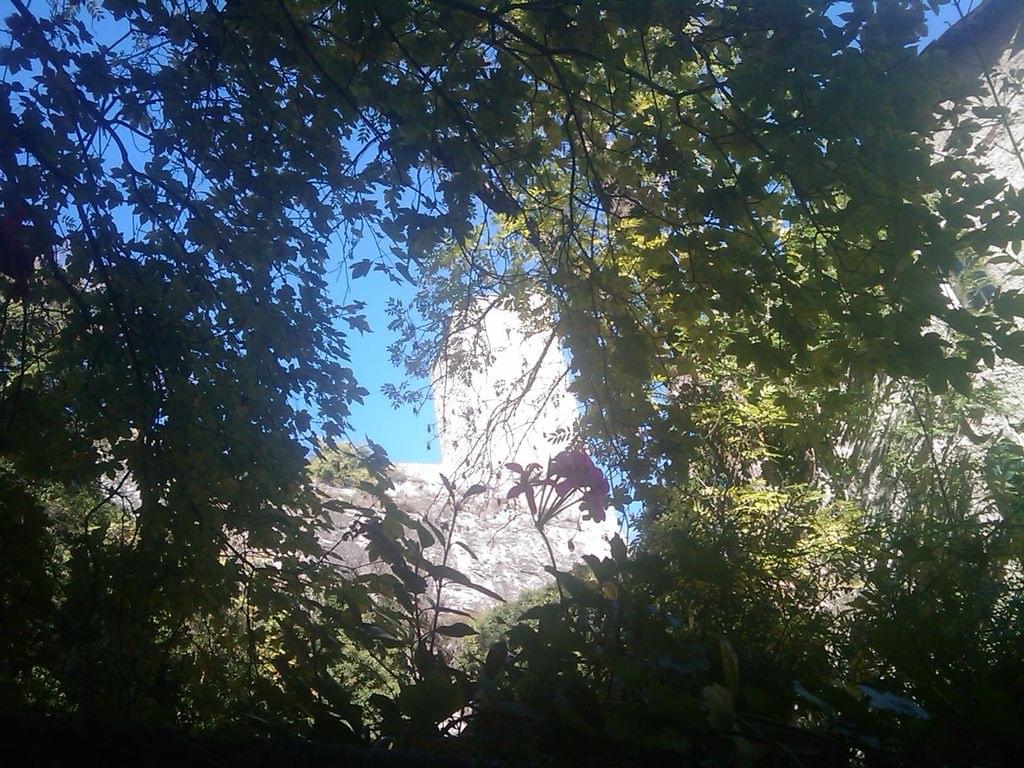 sion