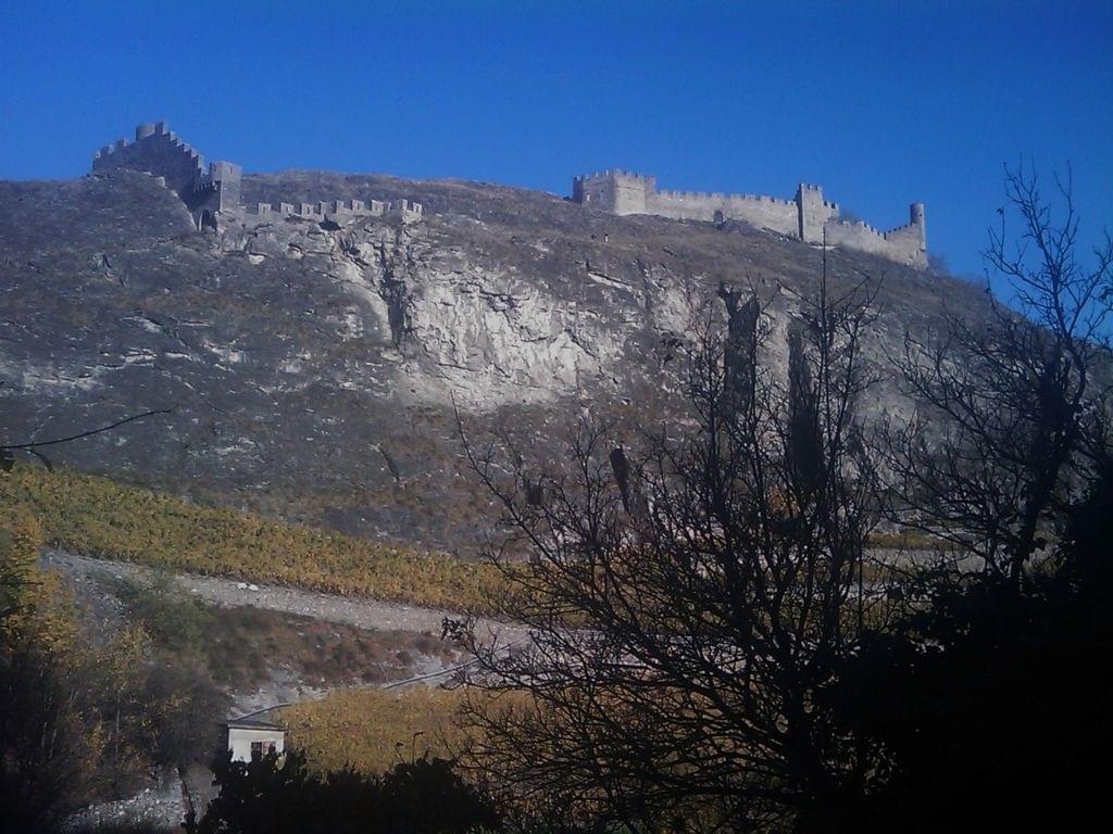 sion