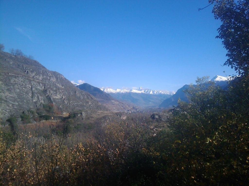 sion