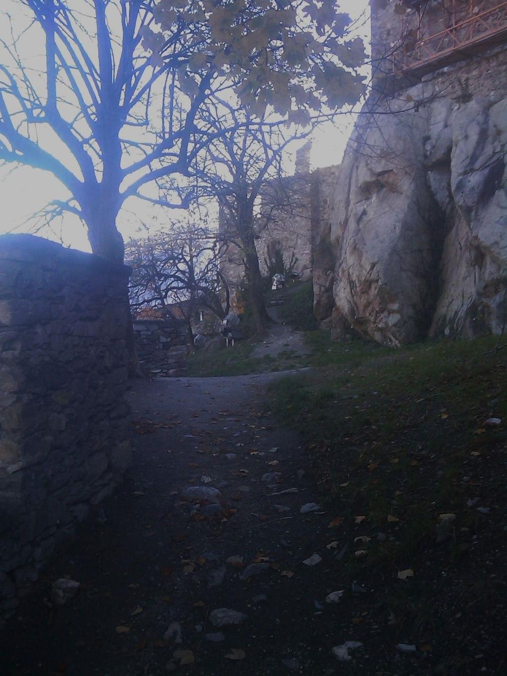 sion