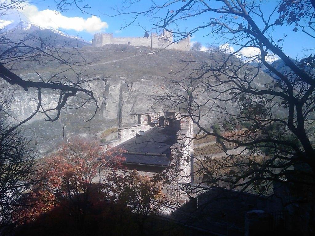 sion