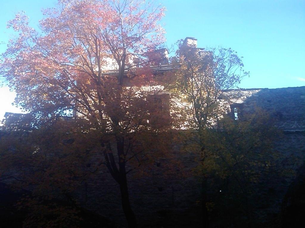 sion