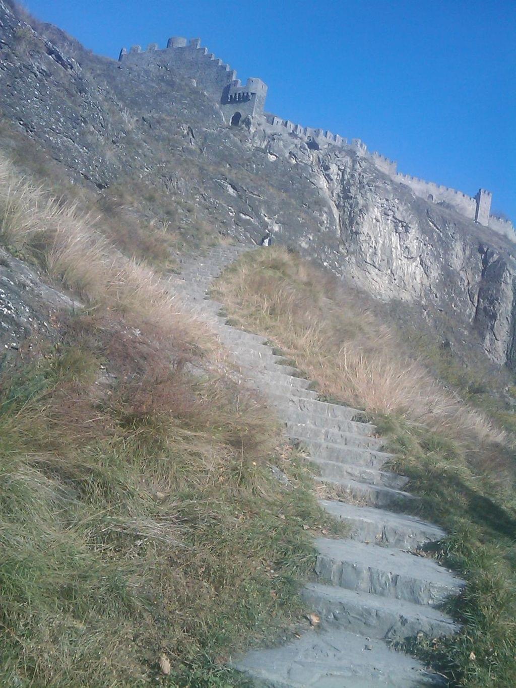 sion