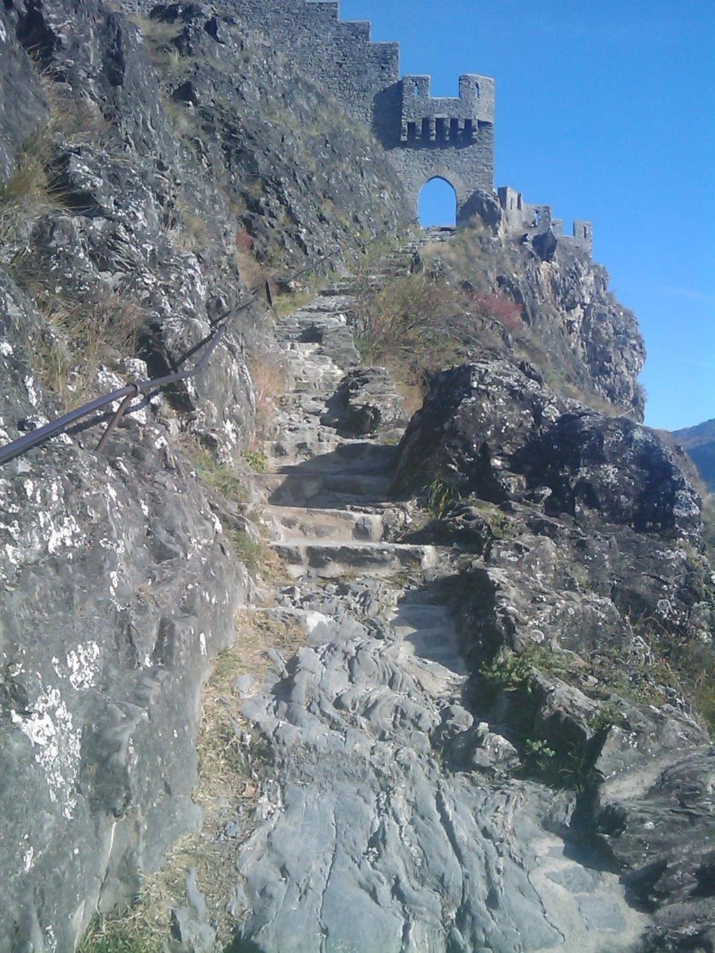 sion