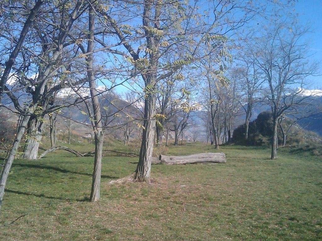 sion