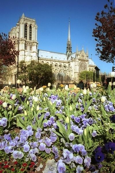 la-cathedrale-notre-dame