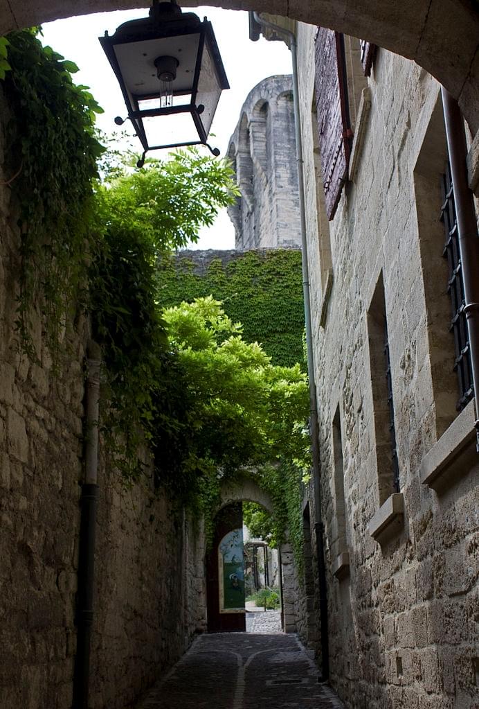jardin médiéval