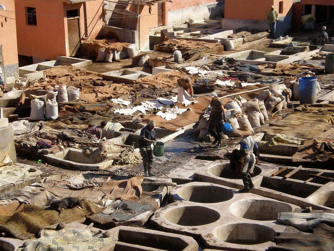 Le souk des tanneurs
