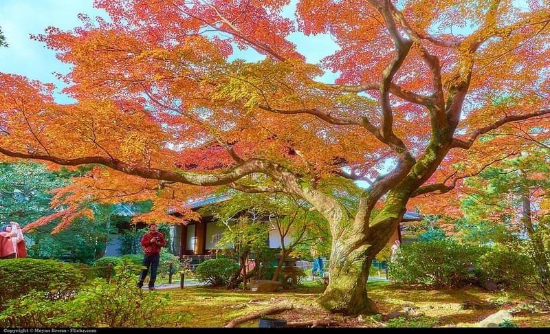 Kyoto