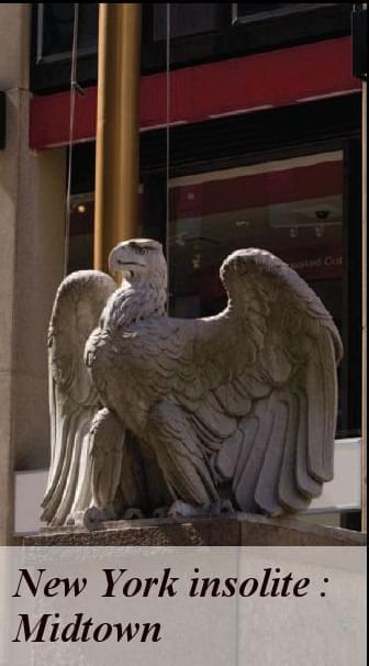 aigle