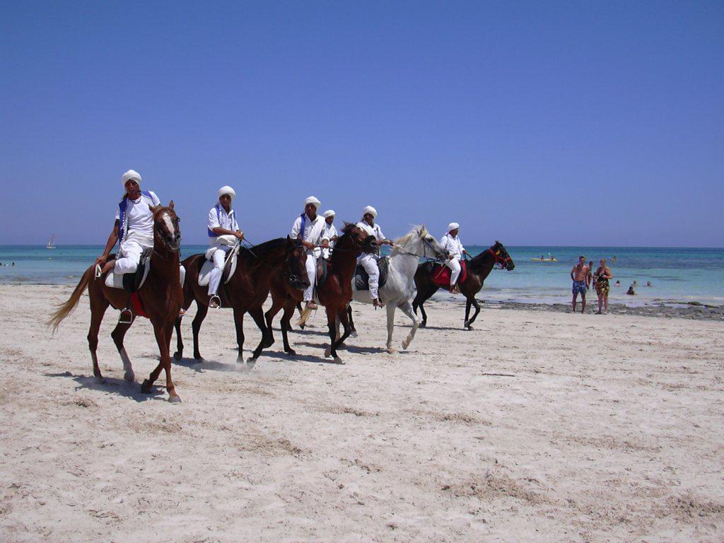 Photo Activités et loisirs que faire à Djerba?
