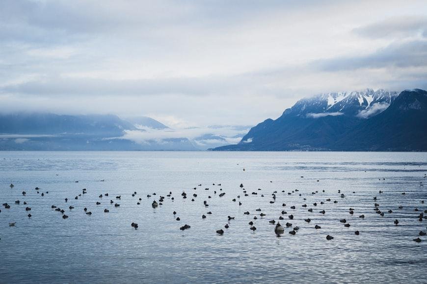 Photo Hotel de charme Lausanne: conseils voyageurs et avis