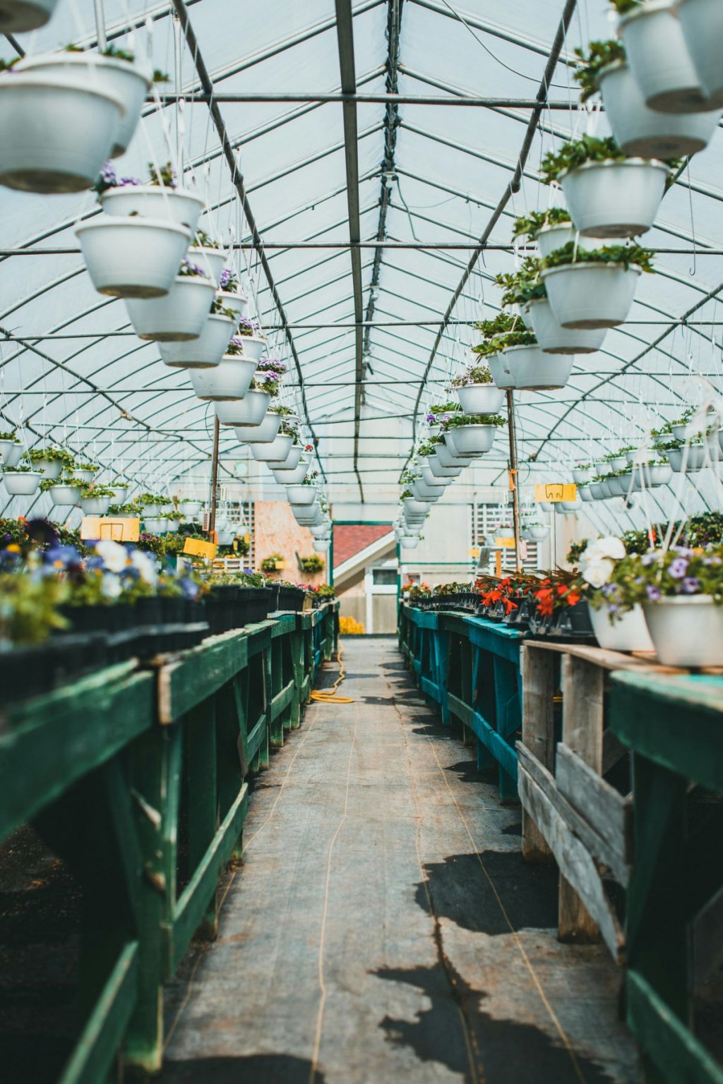 Photo Top 15 jardins et parcs pour se mettre au vert à Montpellier