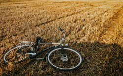 Photo Itinéraires à vélo Provence, Avignon, Lubéron et Mont Ventoux