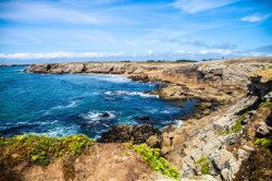 Photo Top 5 des meilleurs festivals bretons