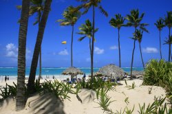 Photo Top 15 des activités à découvrir à Punta Cana ?