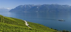 Photo Embarquez pour un voyage inoubliable à travers les splendeurs pittoresques de la Suisse