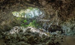 Photo A voir et à faire dans les environs de Montpellier