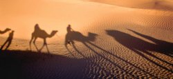 Photo Préparer son arrivée à destination : ce que les formalités ne couvrent pas