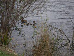 Tourisme Au Pays Basque Espagnol Sélection De Sites