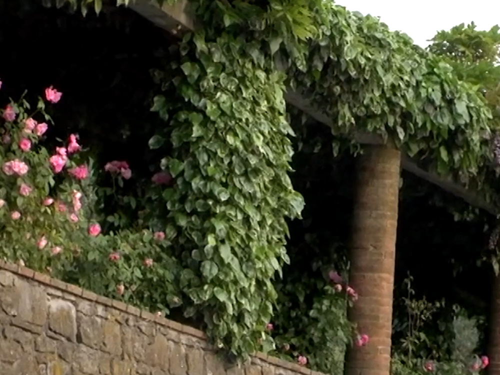 Fiesole