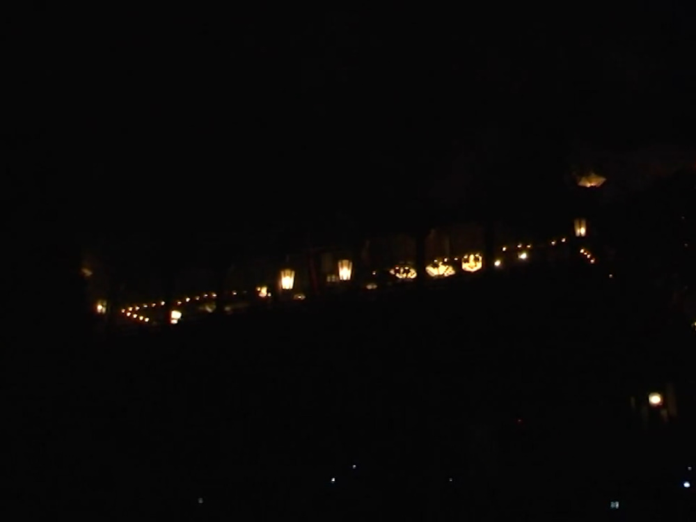 Shuni-e Cérémonie Omizu-tori - Nara